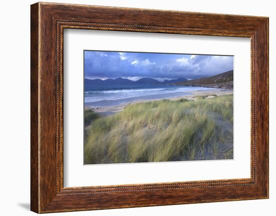 Beach at Luskentyre with Dune Grasses Blowing-Lee Frost-Framed Photographic Print