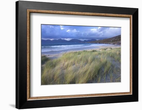 Beach at Luskentyre with Dune Grasses Blowing-Lee Frost-Framed Photographic Print