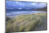 Beach at Luskentyre with Dune Grasses Blowing-Lee Frost-Mounted Photographic Print