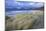 Beach at Luskentyre with Dune Grasses Blowing-Lee Frost-Mounted Photographic Print