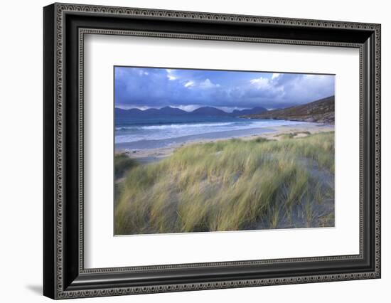 Beach at Luskentyre with Dune Grasses Blowing-Lee Frost-Framed Photographic Print