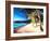 Beach at Magens Bay, St Thomas, USVI - I-Markus Bleichner-Framed Art Print