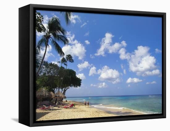 Beach at Paynes Bay, Barbados, Caribbean-Hans Peter Merten-Framed Premier Image Canvas