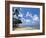 Beach at Paynes Bay, Barbados, Caribbean-Hans Peter Merten-Framed Photographic Print