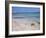 Beach at Pori Bay, Eastern End of the Island of Koufounissia, Lesser Cyclades, Greece-Richard Ashworth-Framed Photographic Print