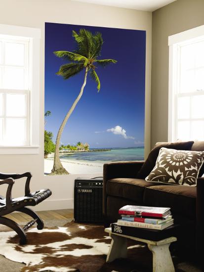 Beach At Punta Cana Wall Mural Veronica Garbutt Art Com