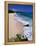 Beach at Sam Lords Castle, East Coast-Angelo Cavalli-Framed Premier Image Canvas