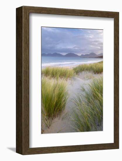 Beach at sunrise, Luskentyre, Isle of Harris, Scotland-Ross Hoddinott-Framed Photographic Print