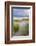 Beach at sunrise, Luskentyre, Isle of Harris, Scotland-Ross Hoddinott-Framed Photographic Print