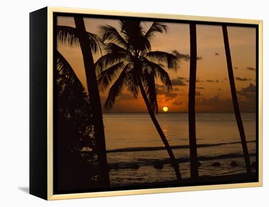 Beach at Sunset, Barbados, West Indies, Caribbean, Central America-Harding Robert-Framed Premier Image Canvas