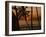 Beach at Sunset, Barbados, West Indies, Caribbean, Central America-Harding Robert-Framed Photographic Print