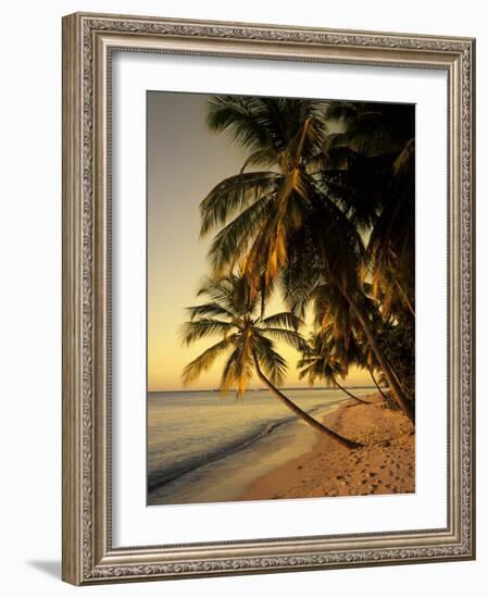 Beach at Sunset, Trinidad, Caribbean-Michael DeFreitas-Framed Photographic Print