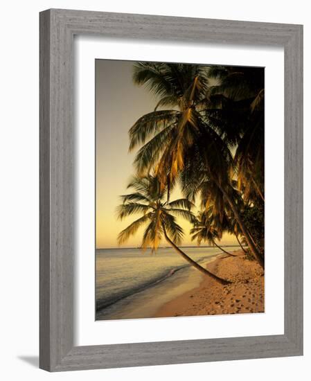 Beach at Sunset, Trinidad, Caribbean-Michael DeFreitas-Framed Photographic Print