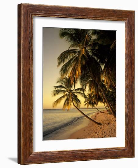 Beach at Sunset, Trinidad, Caribbean-Michael DeFreitas-Framed Photographic Print