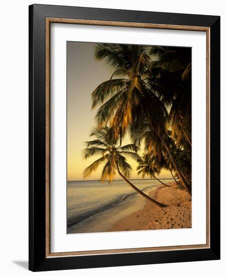 Beach at Sunset, Trinidad, Caribbean-Michael DeFreitas-Framed Photographic Print