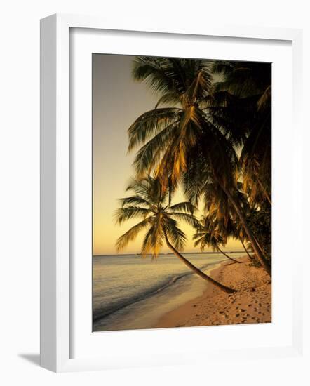 Beach at Sunset, Trinidad, Caribbean-Michael DeFreitas-Framed Photographic Print