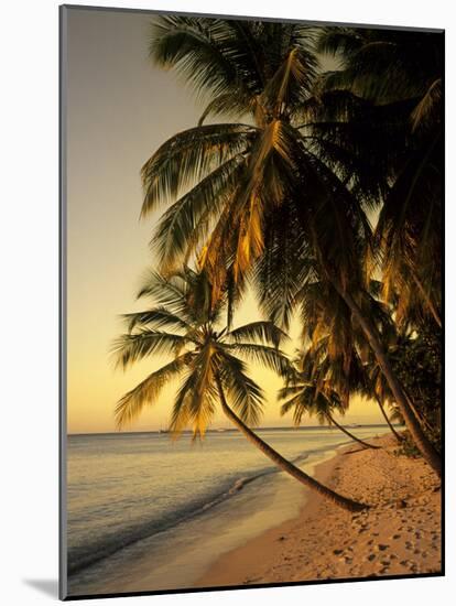 Beach at Sunset, Trinidad, Caribbean-Michael DeFreitas-Mounted Photographic Print
