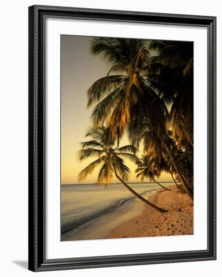 Beach at Sunset, Trinidad, Caribbean-Michael DeFreitas-Framed Photographic Print