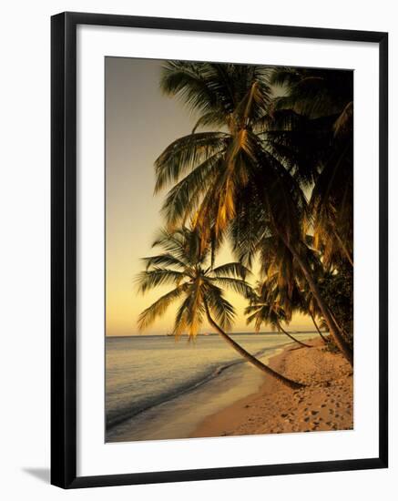 Beach at Sunset, Trinidad, Caribbean-Michael DeFreitas-Framed Photographic Print