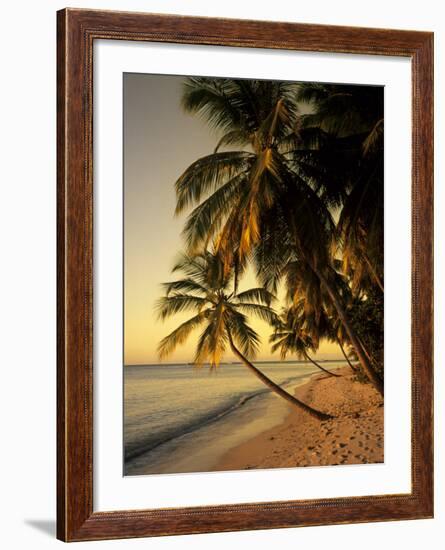 Beach at Sunset, Trinidad, Caribbean-Michael DeFreitas-Framed Photographic Print