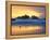 Beach at Sunset with Sea Stacks and Gull, Bandon, Oregon, USA-Nancy Rotenberg-Framed Premier Image Canvas