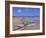 Beach at Tangalla, South Coast, Sri Lanka, Indian Ocean, Asia-Bruno Morandi-Framed Photographic Print