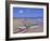 Beach at Tangalla, South Coast, Sri Lanka, Indian Ocean, Asia-Bruno Morandi-Framed Photographic Print