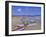 Beach at Tangalla, South Coast, Sri Lanka, Indian Ocean, Asia-Bruno Morandi-Framed Photographic Print