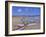 Beach at Tangalla, South Coast, Sri Lanka, Indian Ocean, Asia-Bruno Morandi-Framed Photographic Print