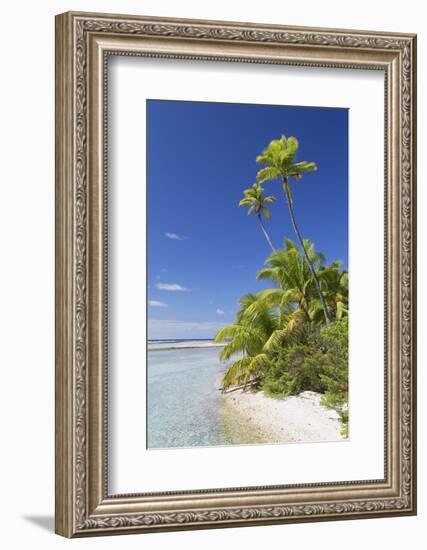 Beach at Tetamanu, Fakarava, Tuamotu Islands, French Polynesia-Ian Trower-Framed Photographic Print