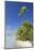 Beach at Tetamanu, Fakarava, Tuamotu Islands, French Polynesia-Ian Trower-Mounted Photographic Print