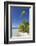 Beach at Tetamanu, Fakarava, Tuamotu Islands, French Polynesia-Ian Trower-Framed Photographic Print