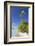 Beach at Tetamanu, Fakarava, Tuamotu Islands, French Polynesia-Ian Trower-Framed Photographic Print