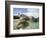 Beach at The Baths-Macduff Everton-Framed Photographic Print