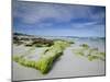 Beach at the Coast, Kangaroo Island, South Australia, Australia-Thorsten Milse-Mounted Photographic Print