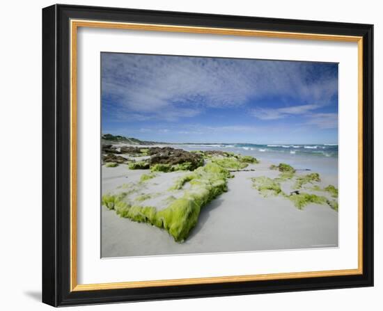 Beach at the Coast, Kangaroo Island, South Australia, Australia-Thorsten Milse-Framed Photographic Print