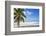 Beach at Treasure Cay, Great Abaco, Abaco Islands, Bahamas, West Indies, Central America-Jane Sweeney-Framed Photographic Print