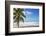 Beach at Treasure Cay, Great Abaco, Abaco Islands, Bahamas, West Indies, Central America-Jane Sweeney-Framed Photographic Print