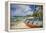 Beach at Trou D'Eau Douce, Flacq, East Coast, Mauritius-Jon Arnold-Framed Premier Image Canvas