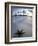 Beach at Zanzibar, Tanzania-Peter Adams-Framed Photographic Print