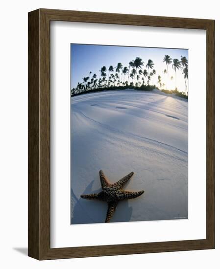 Beach at Zanzibar, Tanzania-Peter Adams-Framed Photographic Print