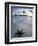 Beach at Zanzibar, Tanzania-Peter Adams-Framed Photographic Print