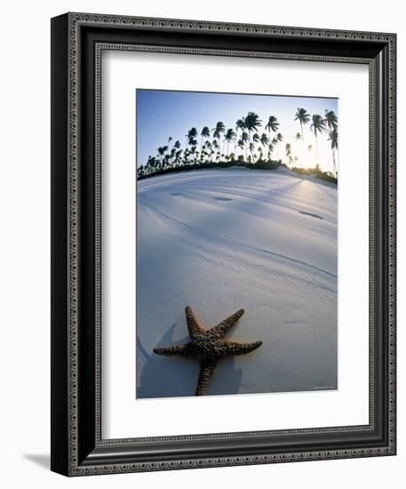 Beach at Zanzibar, Tanzania-Peter Adams-Framed Photographic Print