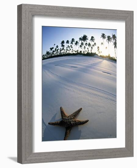 Beach at Zanzibar, Tanzania-Peter Adams-Framed Photographic Print