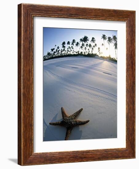 Beach at Zanzibar, Tanzania-Peter Adams-Framed Photographic Print