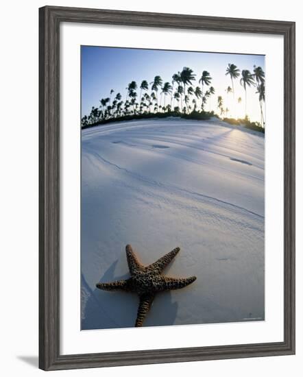 Beach at Zanzibar, Tanzania-Peter Adams-Framed Photographic Print