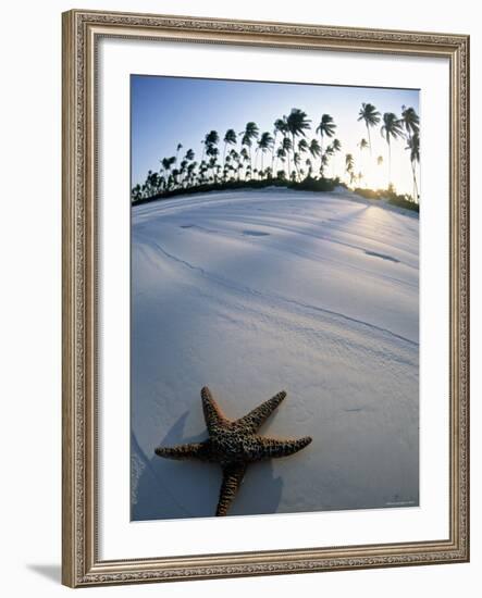 Beach at Zanzibar, Tanzania-Peter Adams-Framed Photographic Print