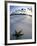 Beach at Zanzibar, Tanzania-Peter Adams-Framed Photographic Print