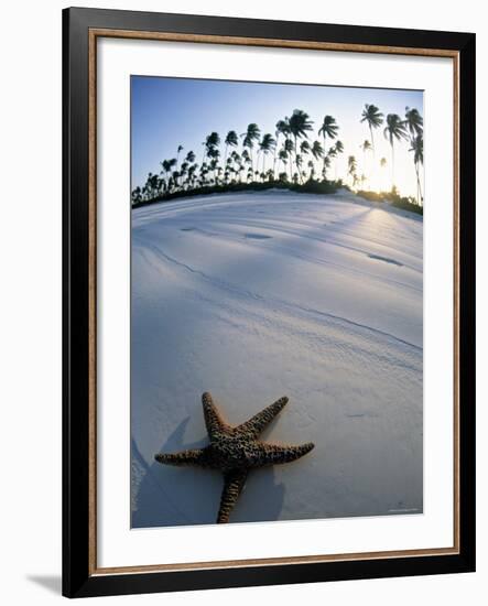 Beach at Zanzibar, Tanzania-Peter Adams-Framed Photographic Print