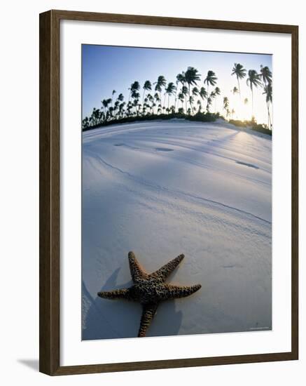 Beach at Zanzibar, Tanzania-Peter Adams-Framed Photographic Print